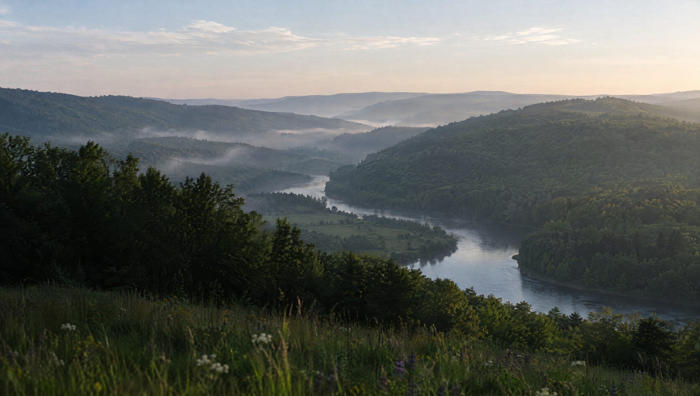 A green, forested river valley in morning mist
