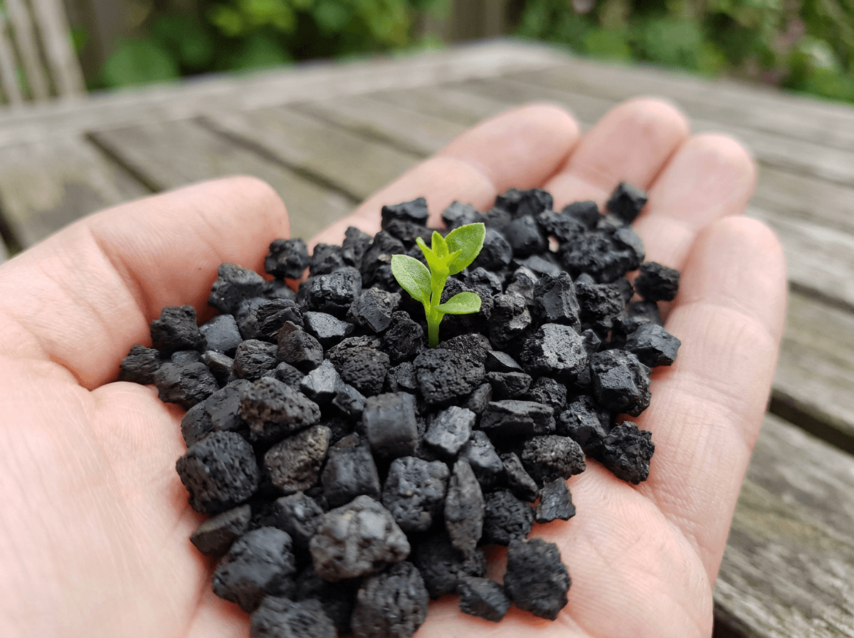 Recycled crumb rubber with a green sprout growing from it